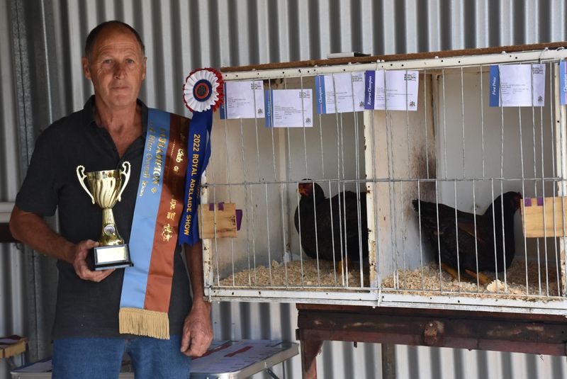 Bird is the word for local competitive chook breeder post image