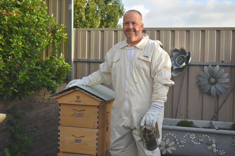 Honey honey, how you thrill me post image