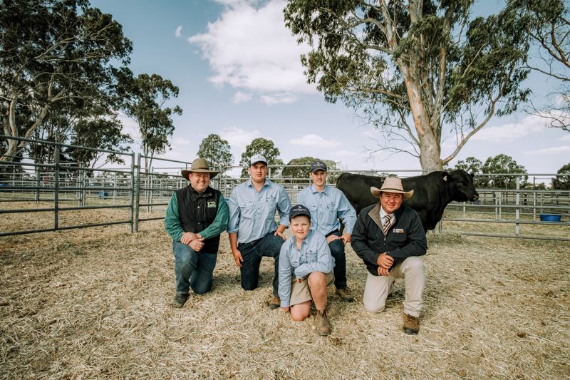 Bull Oak Well Angus goes from strength to strength post image
