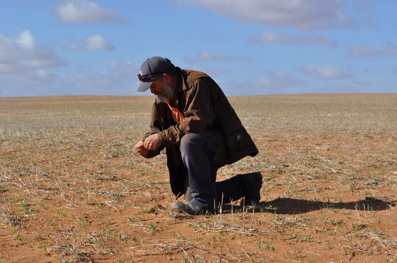 Paschke’s frontline farming battle post image