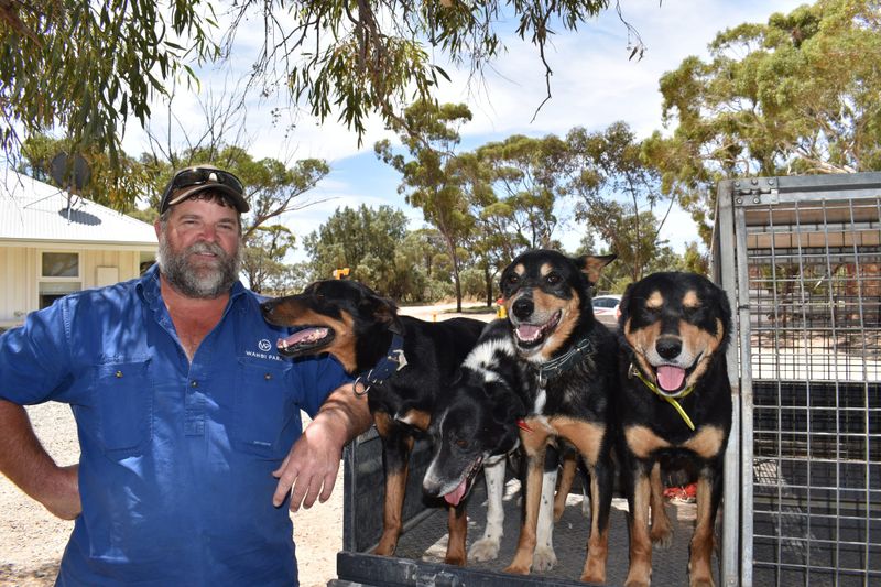 Teaching young dogs new tricks… Lee’s right-hand men post image