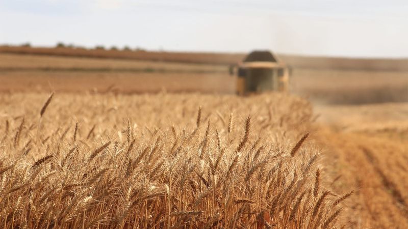 US ties drive SA exports record high post image