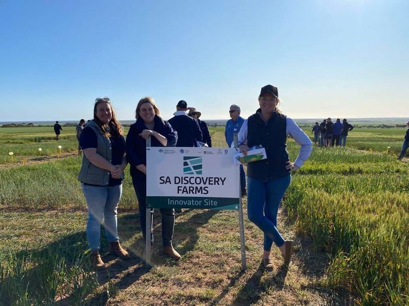 A new era of climate-smart farming trials in SA established post image