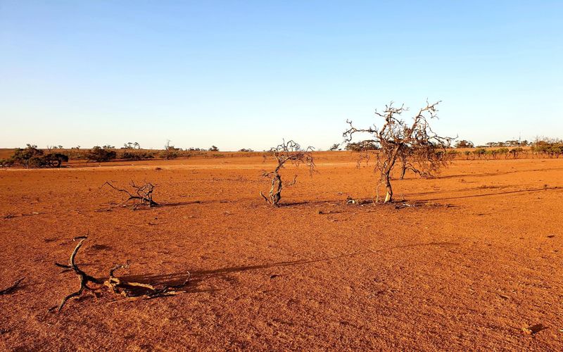 Practical podcasts for drought preparedness post image
