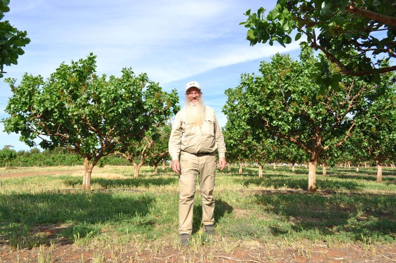 Permedah’s pistachios go nuts post image