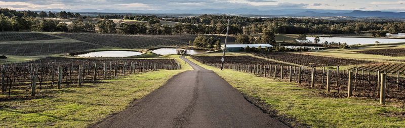 Wine exports not immune to global trends post image