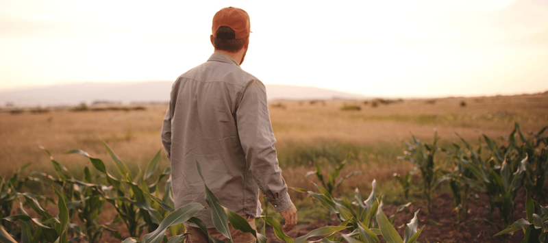 Growing openness, ongoing strain: New survey reveals state of farmer wellbeing post image