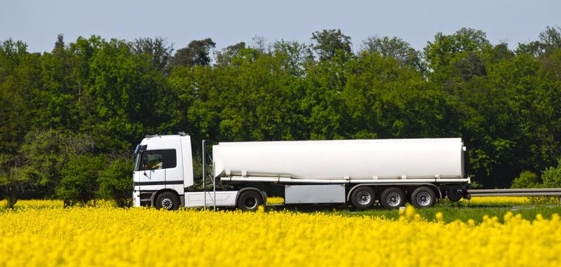 Canola poised for expanded role in biofuel future post image