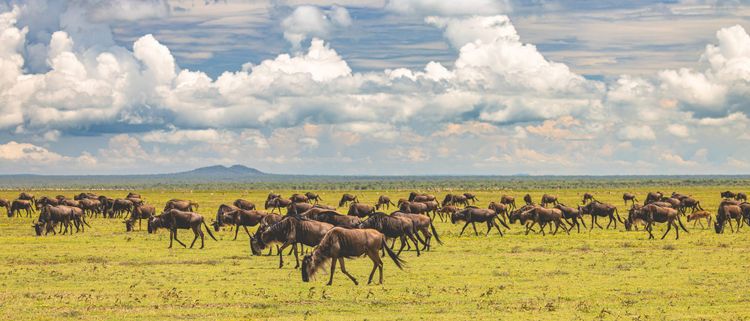 Financial freedom starts HERE