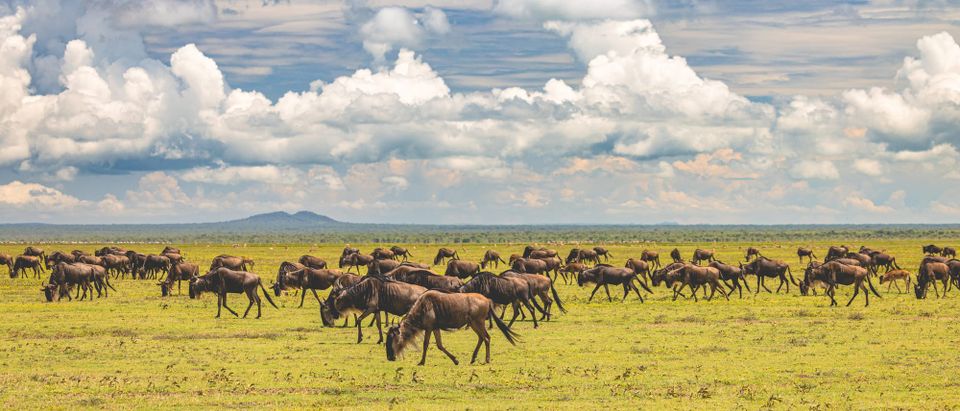 Financial freedom starts HERE