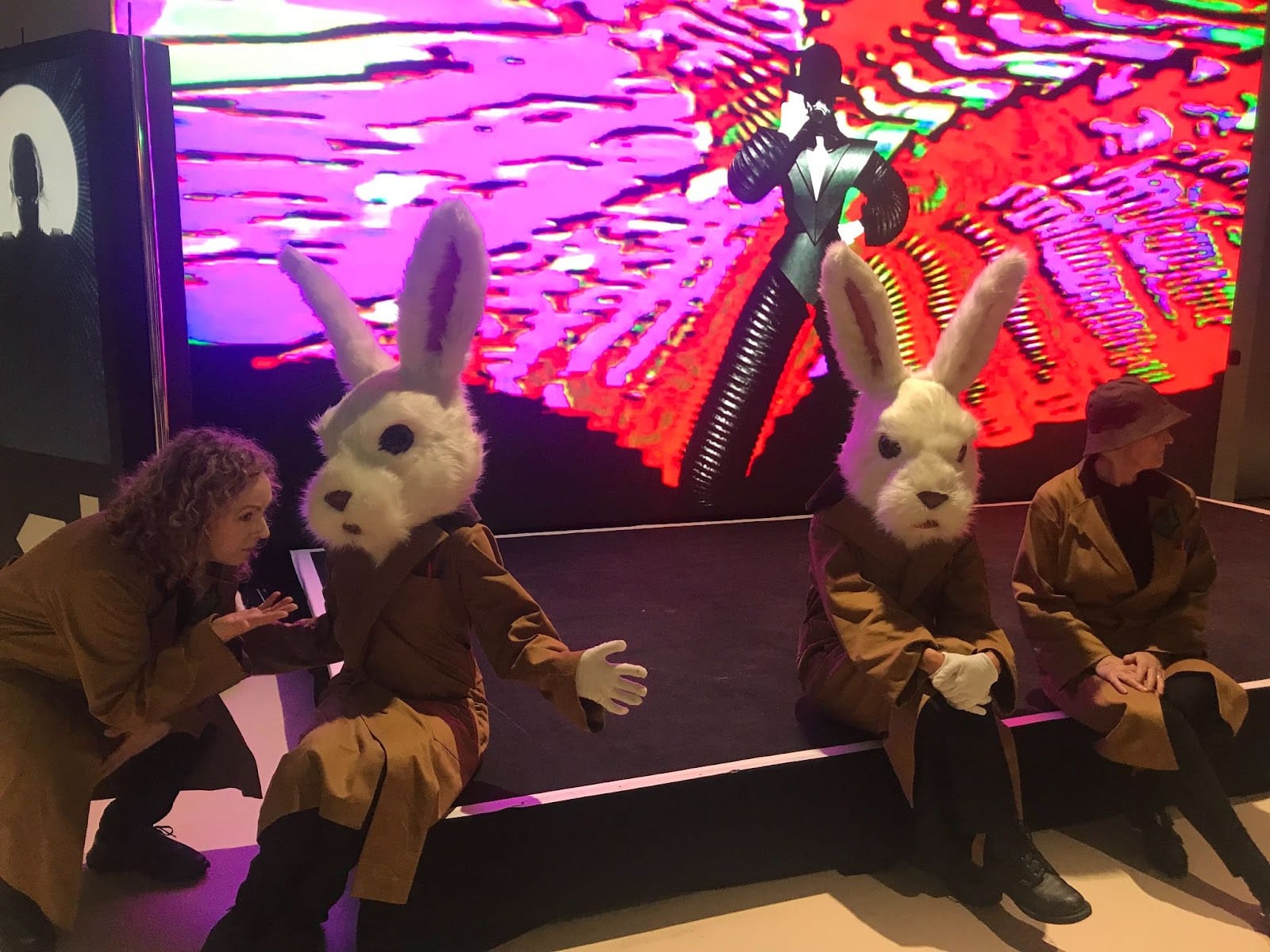 The assorted white rabbits, along with their chaperones. Photo: The Mill.