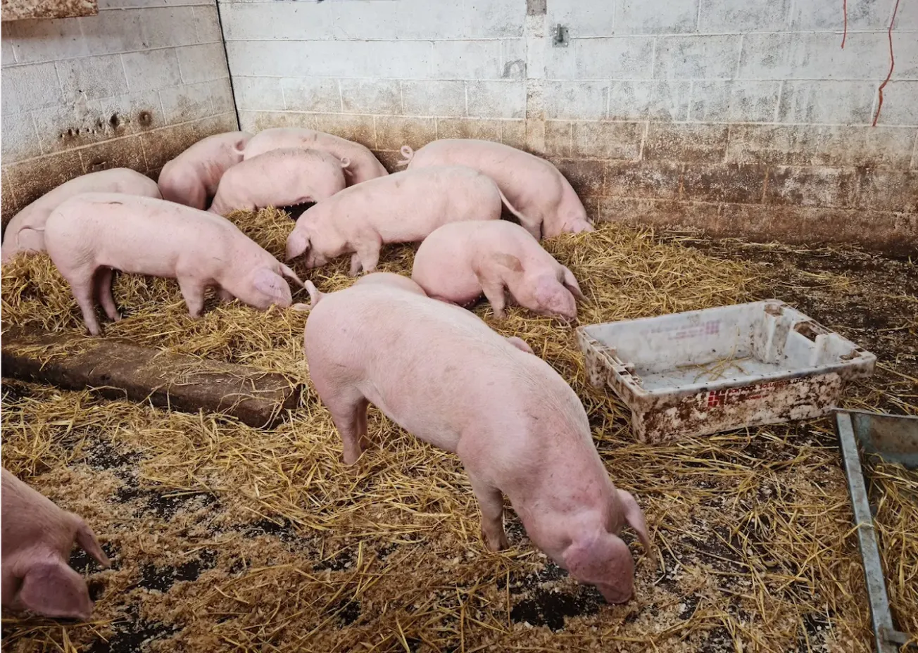 Has Noel Gallagher broken a century-old covenant?