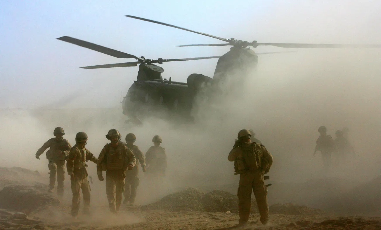 'Suddenly, they’re out, they’re hunting. They're sat in trees, they're watching you'