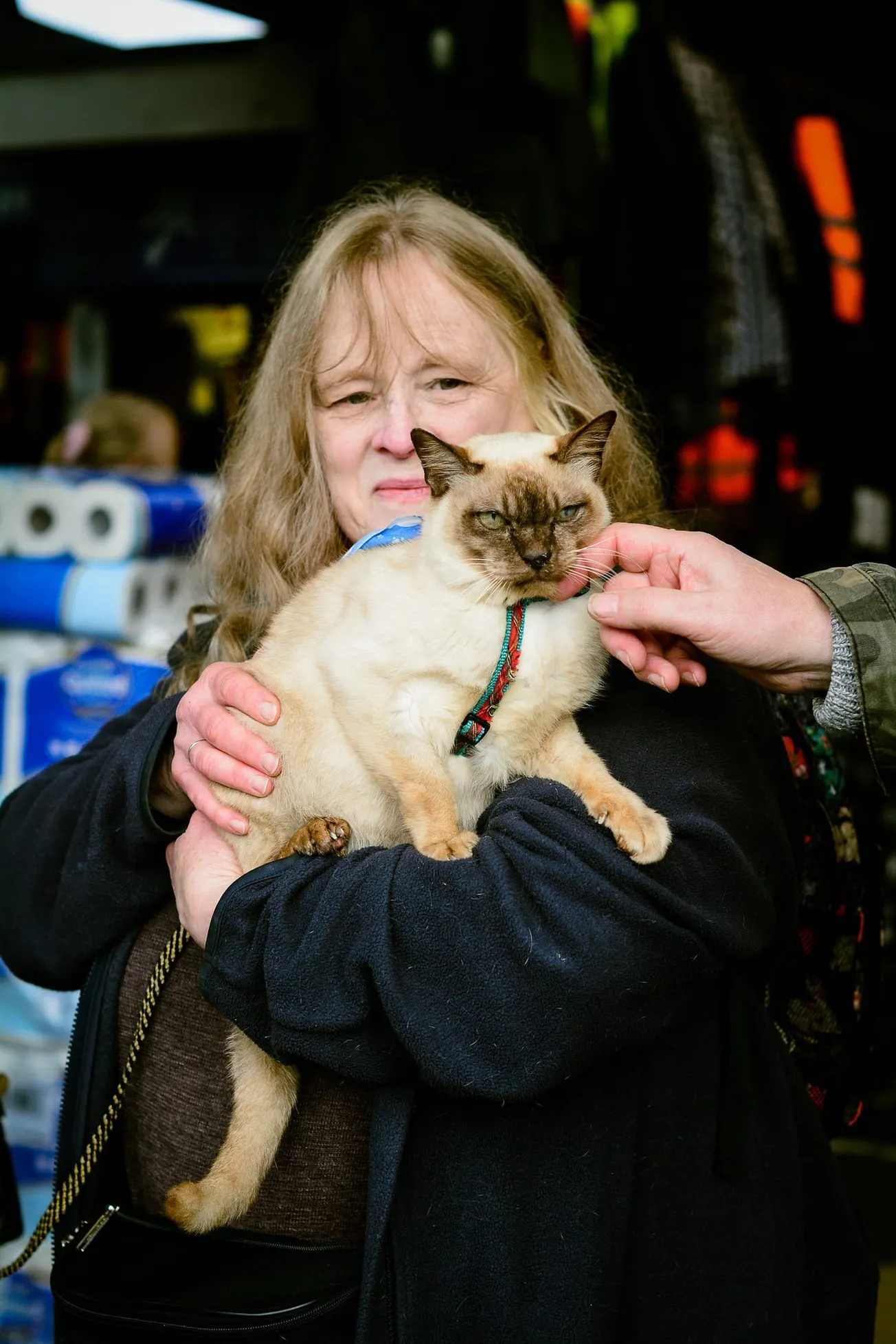 Is this the scariest cat in Greater Manchester? 