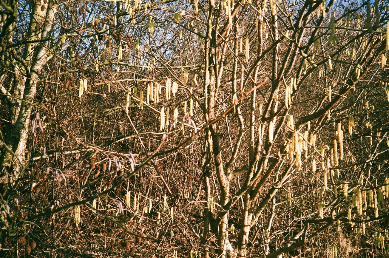 Embrace the boggart!