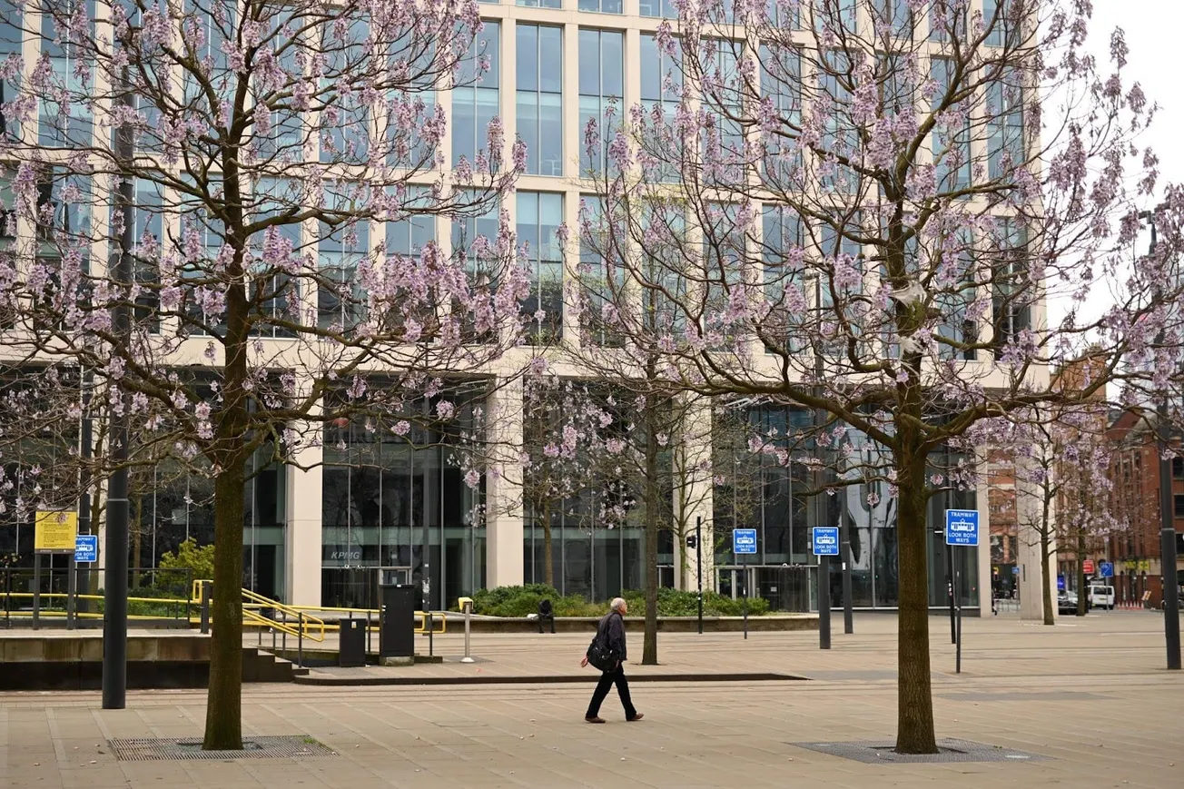 Revealed: the best place in Manchester to be a tree