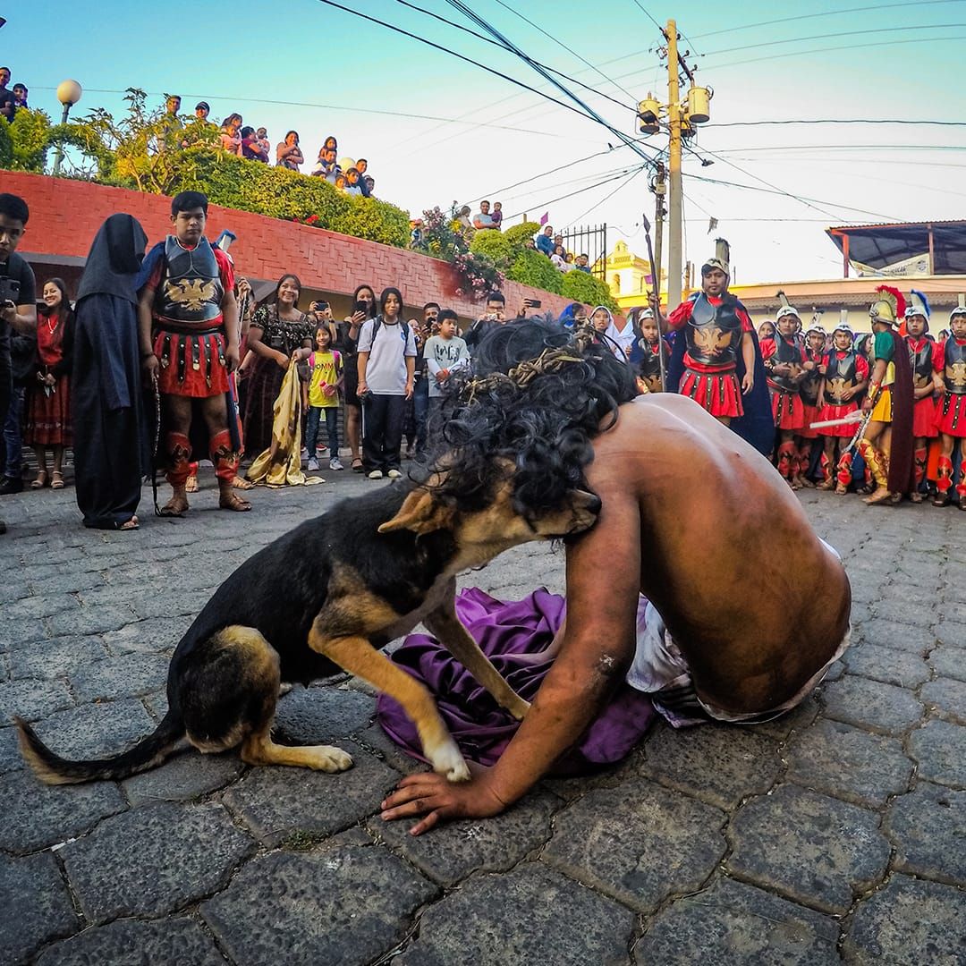 Perrito interrumpe Vía Crucis para consolar a Jesús