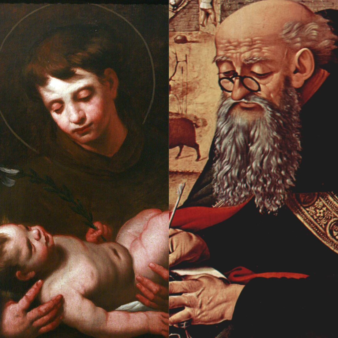 San Antonio, San Antonio de Padua, Nombre real de san antonio, san antonio abad