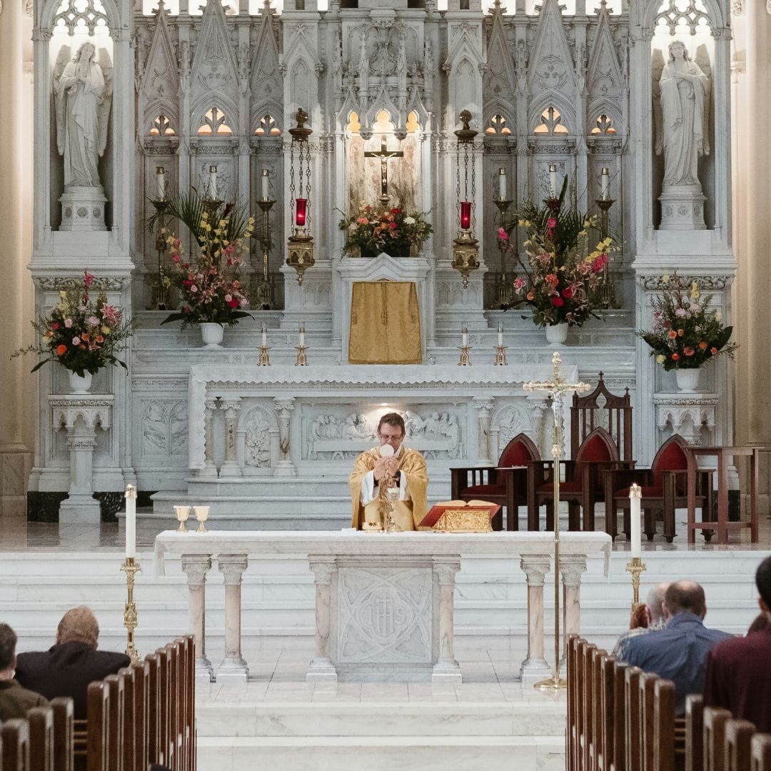 heraldos del evangelio, 