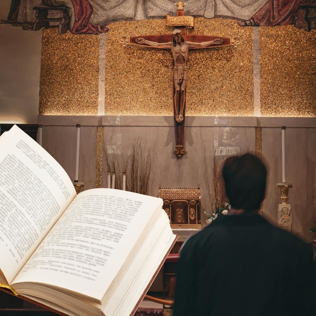 libro, libro para leer, 