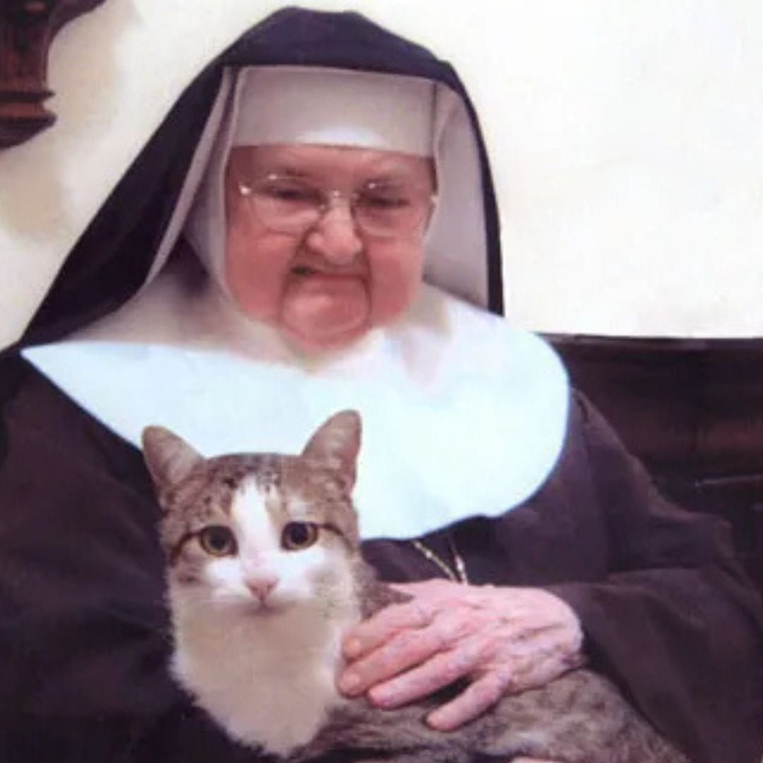 gatos, madre angelica, madre angélica, ewtn