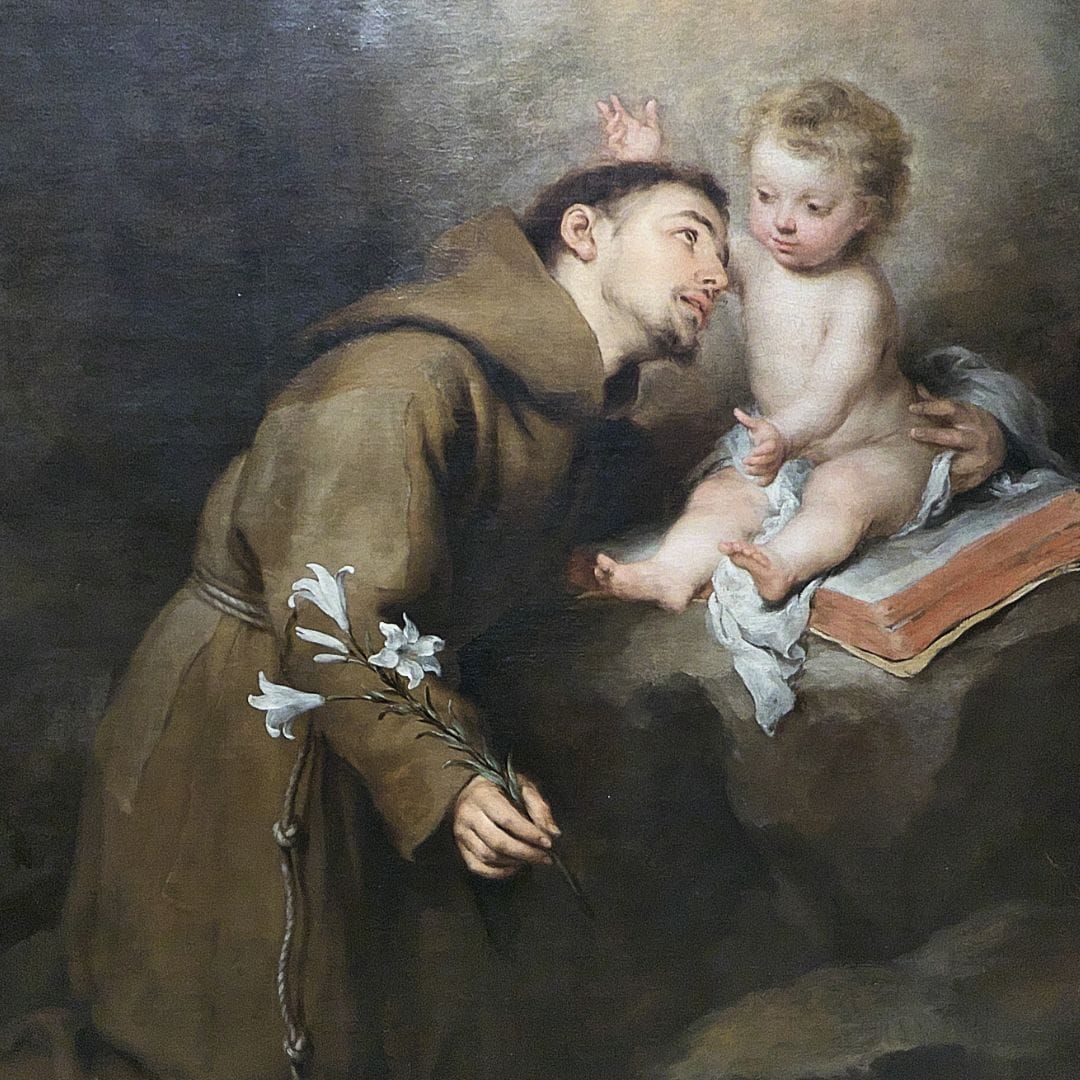 san antonio, san antonio padua, san antonio de padua