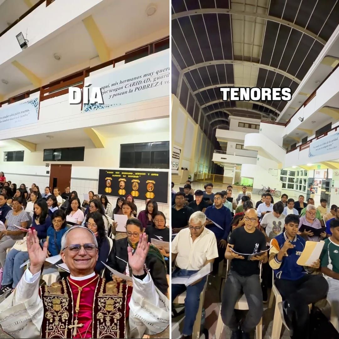 papa león xiv, papa leon, leon xiv, papa leon 14, 