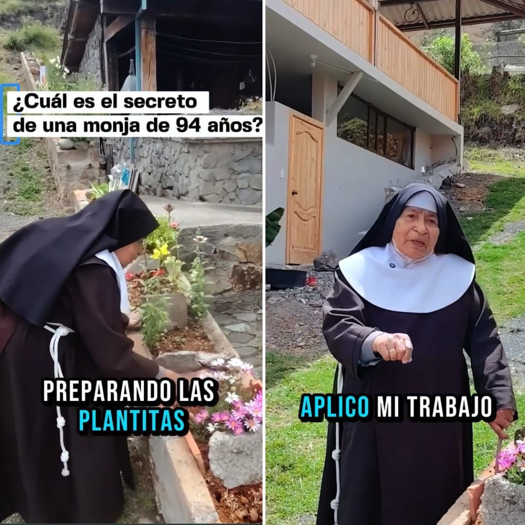 reflexión, viral católico