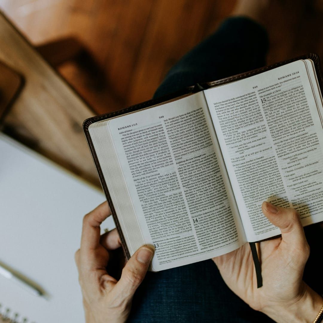 biblia, la biblia, en la biblia, biblia catolica