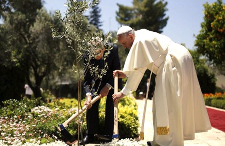 ¿Qué dice el Papa Francisco sobre la protección del medio ambiente?