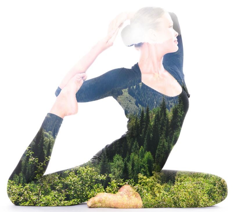 Wikipedia/ Dominio Público.