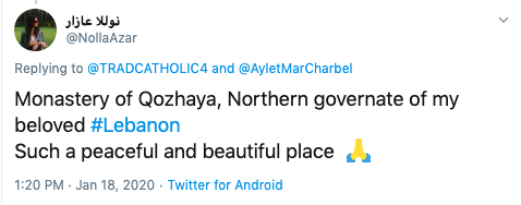vídeo viral 