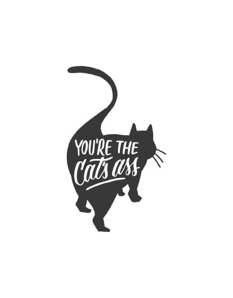 A black cartoon cat has written on it, in white: "You're the cat's ass."