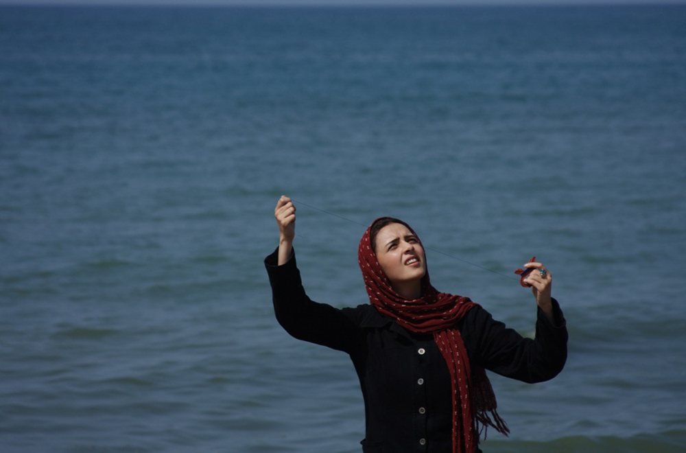 about elly kite flyer