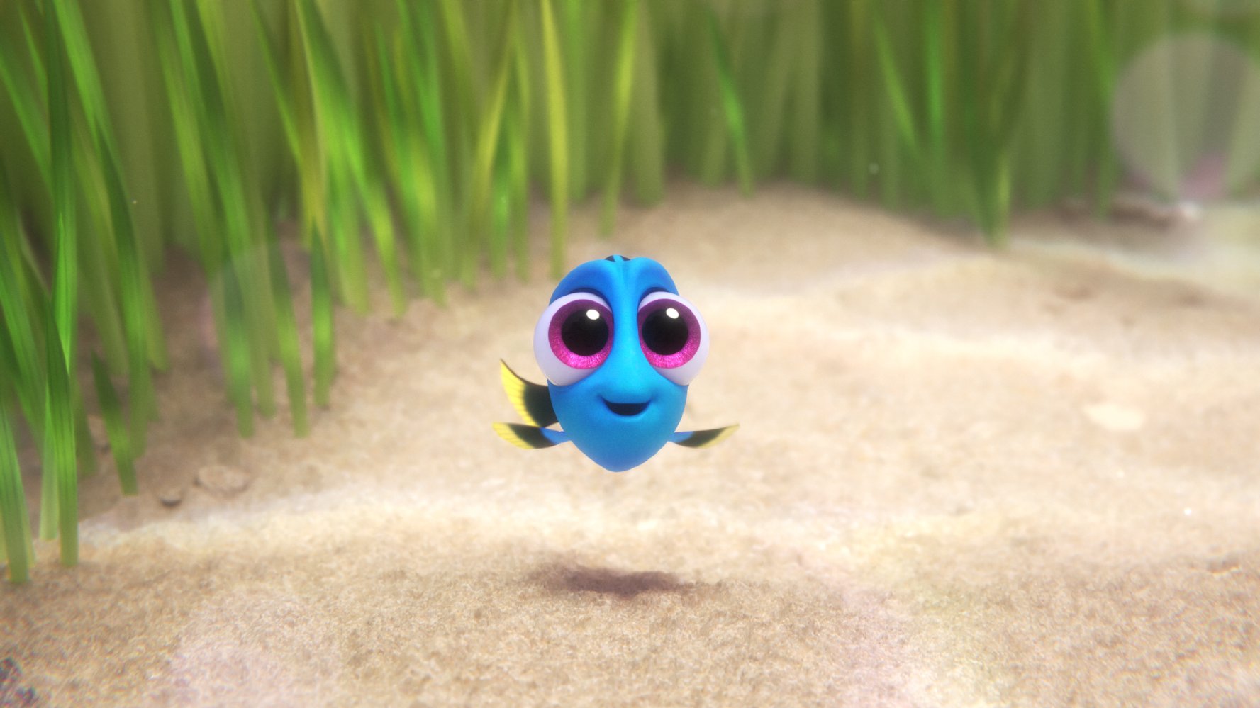 little dory