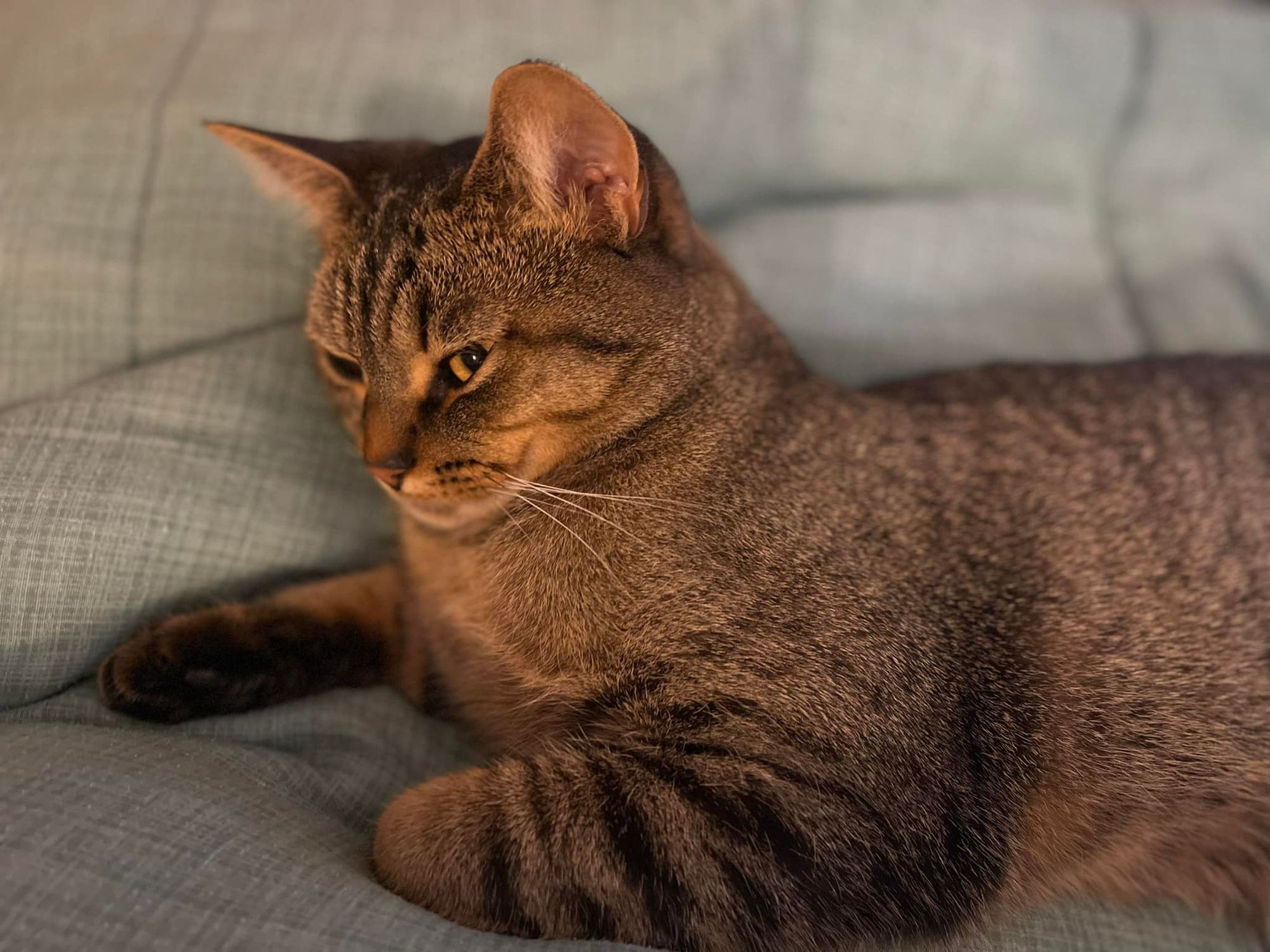 Recovery Report — Day Three: Surprise Package!