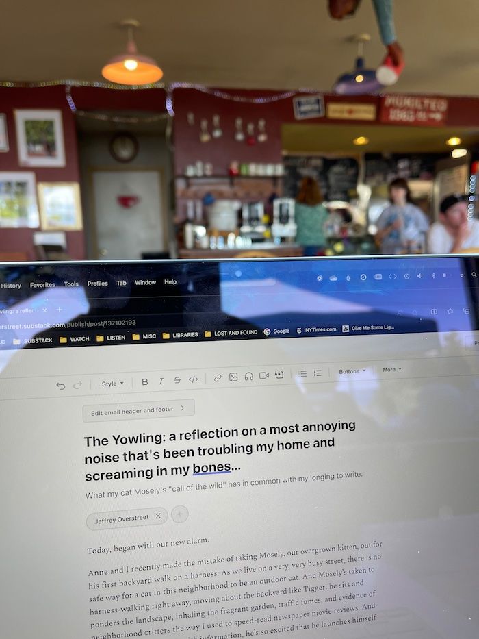 The Yowling: a reflection on a most annoying noise that's been troubling my home and screaming in my bones...