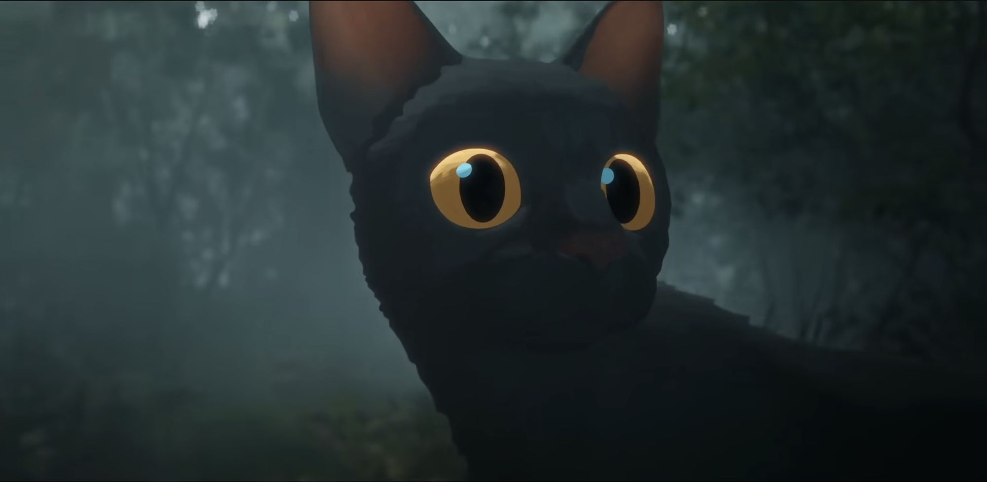 By My Lights: a surprise package for the first week of 2025