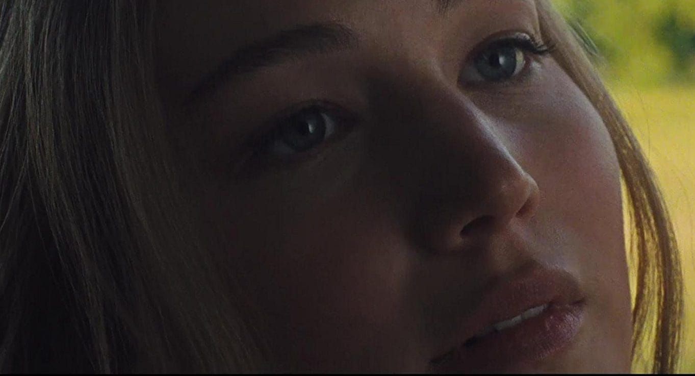 Film Forum: mother! and the haters