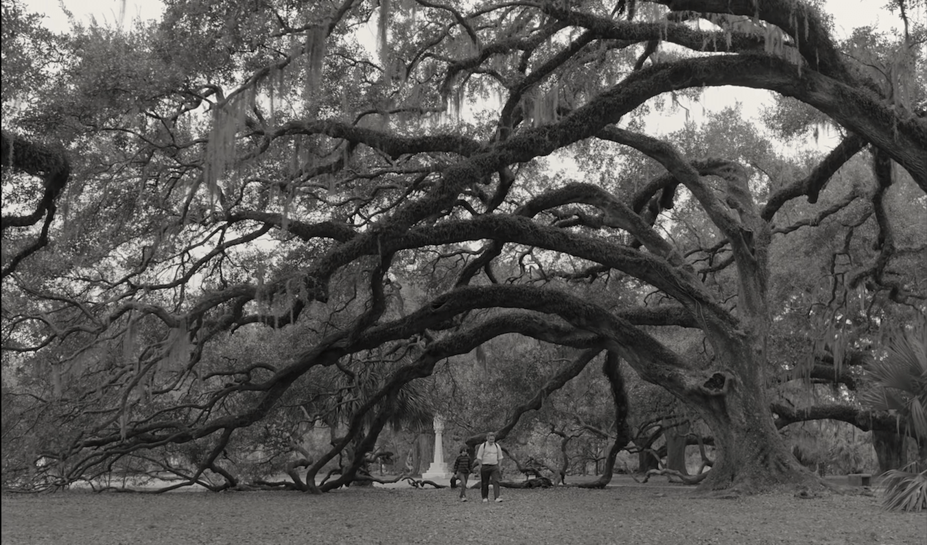 Weekender: 2022 film calendar; Luci Shaw's latest poems; C'mon C'mon; Azor; Licorice Pizza