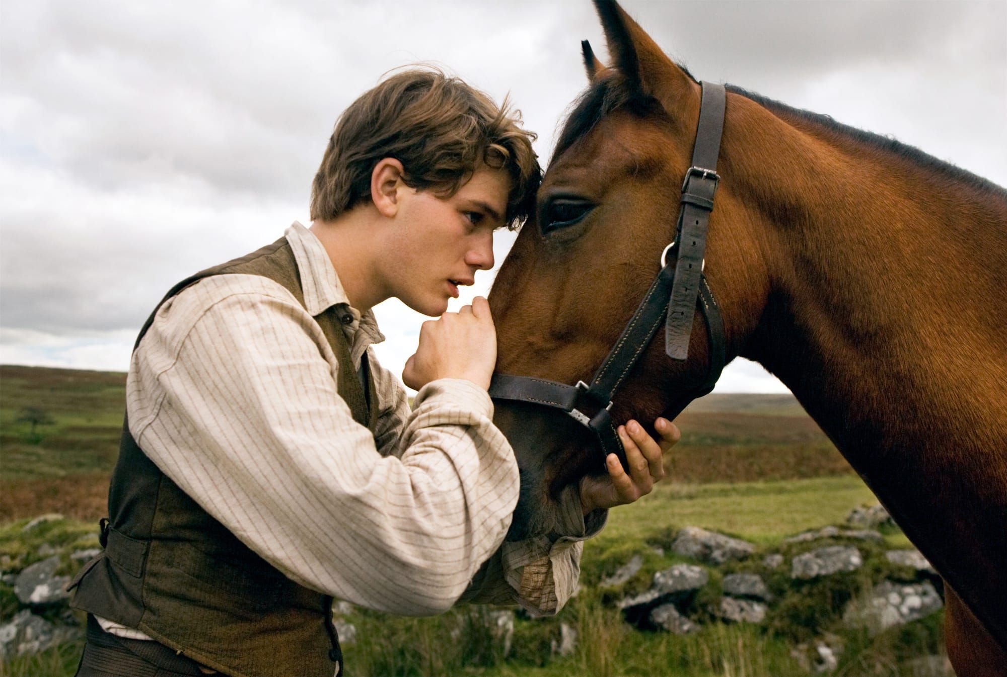 War Horse (2011)