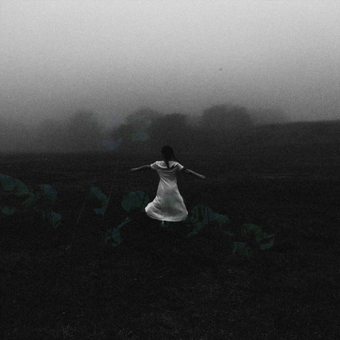 Favorite Recordings of 2024: Part One — Honorable Mentions (Instrumental, New Discoveries)