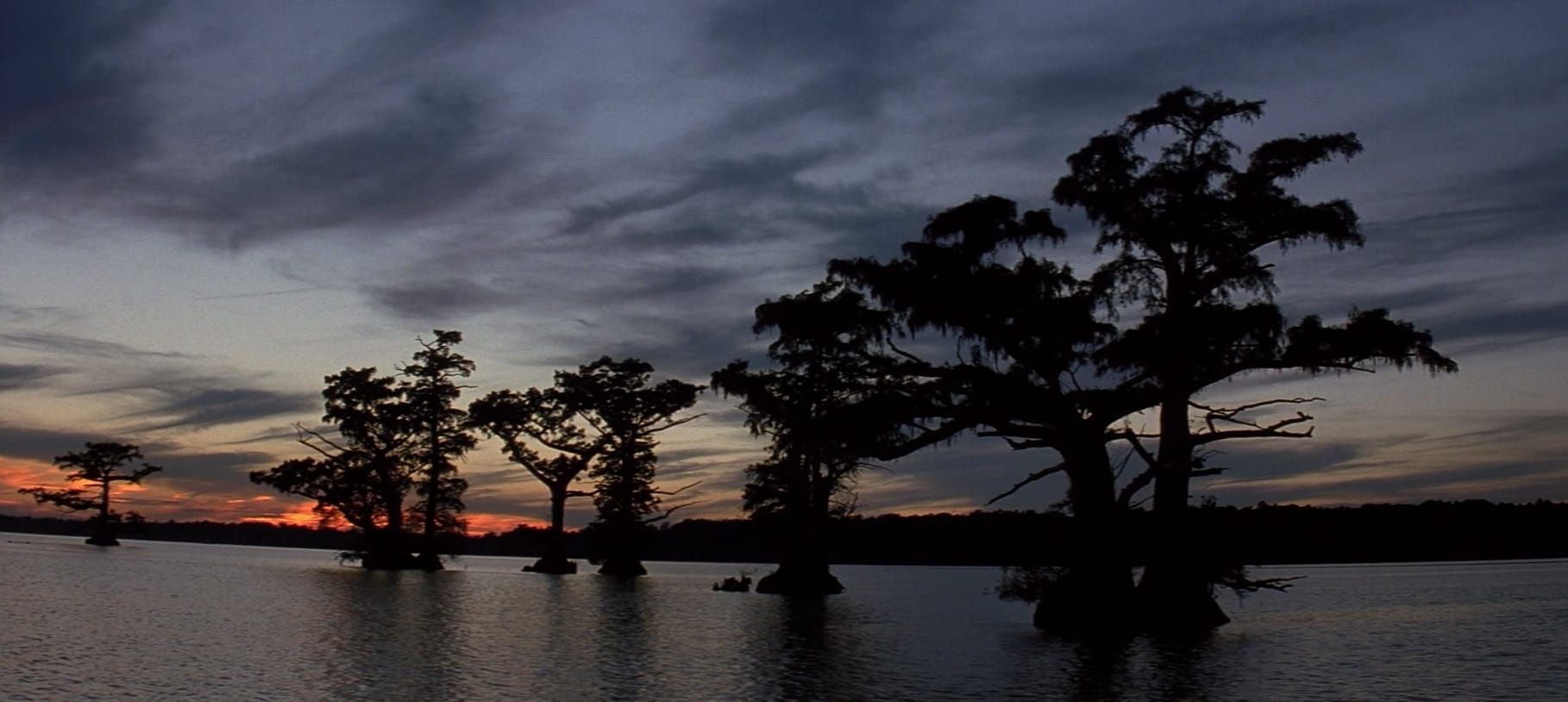 FILM REVIEWS — N, O, P, Q, R