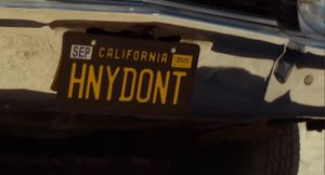 Wish I hadn’t: first (and last) impressions of Honey Don’t!