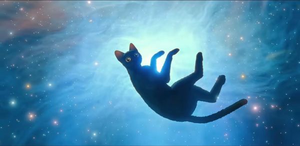 Why Flow is my favorite film of 2024