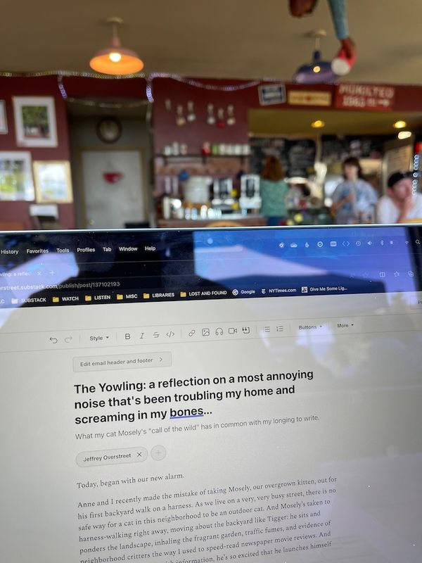 The Yowling: a reflection on a most annoying noise that's been troubling my home and screaming in my bones...