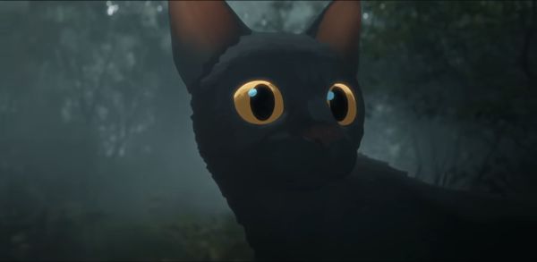 By My Lights: a surprise package for the first week of 2025