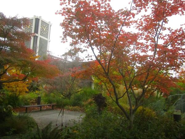 Pray for Seattle Pacific University.