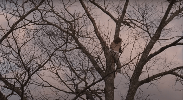 Overstreet Archives: Margot at the Wedding (2007)