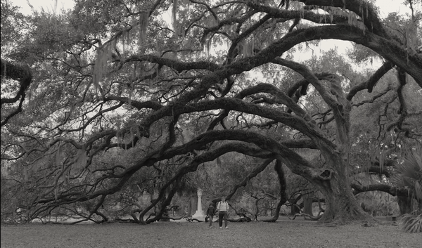 Weekender: 2022 film calendar; Luci Shaw's latest poems; C'mon C'mon; Azor; Licorice Pizza